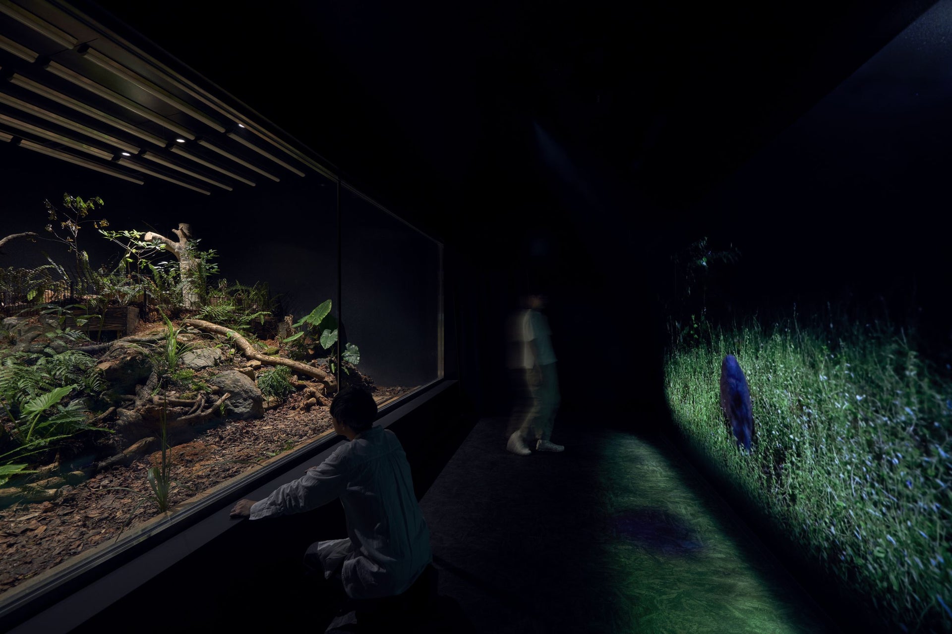 アマミノクロウサギミュージアム Quru Guru5